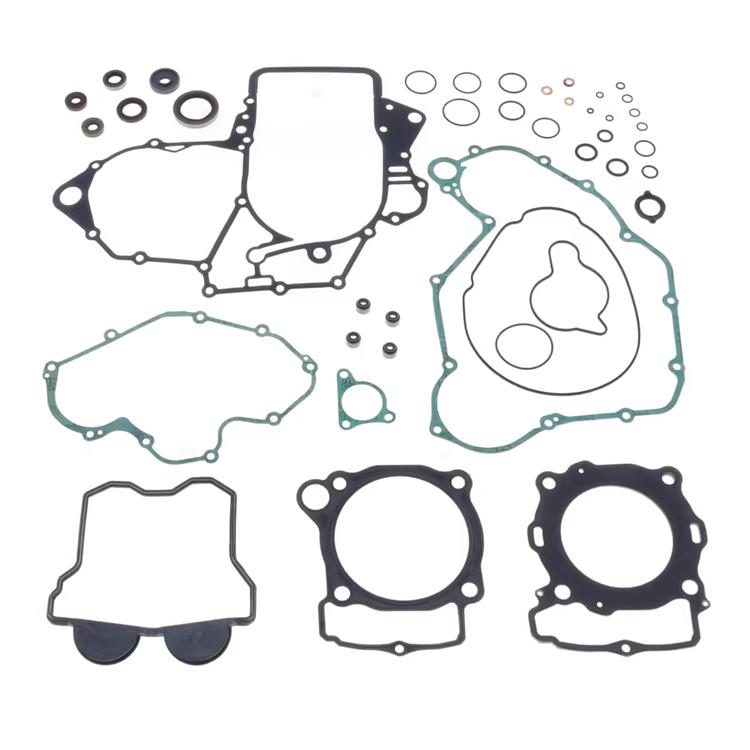 Guarnizioni Beta RR 350 (2015-2019) motore + kit paraolio