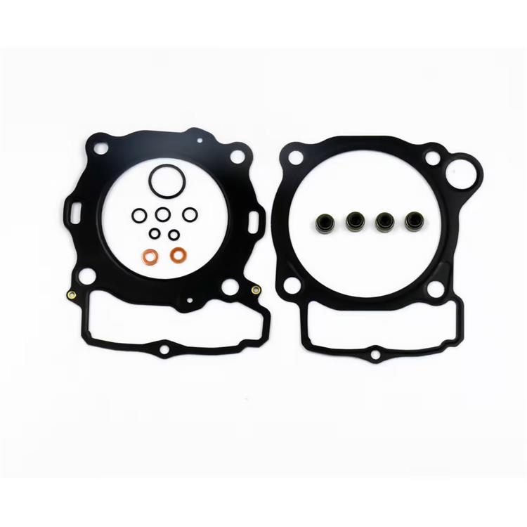 Guarnizioni Beta RR 350 (2014-2015) smeriglio *