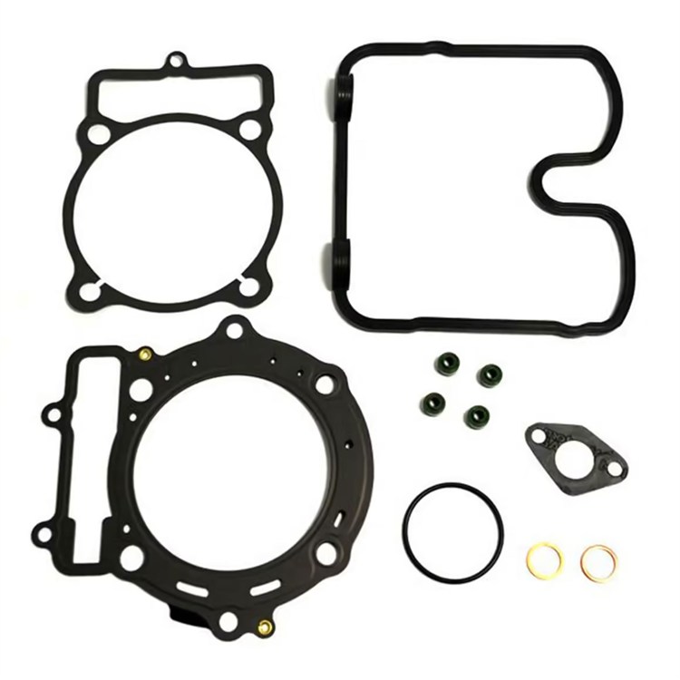 Guarnizioni Husqvarna 450 TC (2005-2010) smeriglio