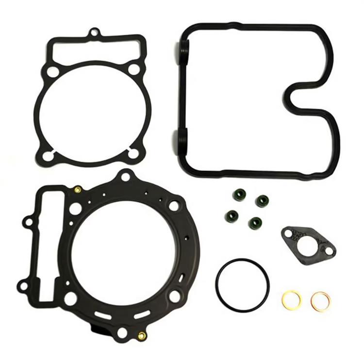 Guarnizioni Husqvarna 450 TE (2005-2009) smeriglio