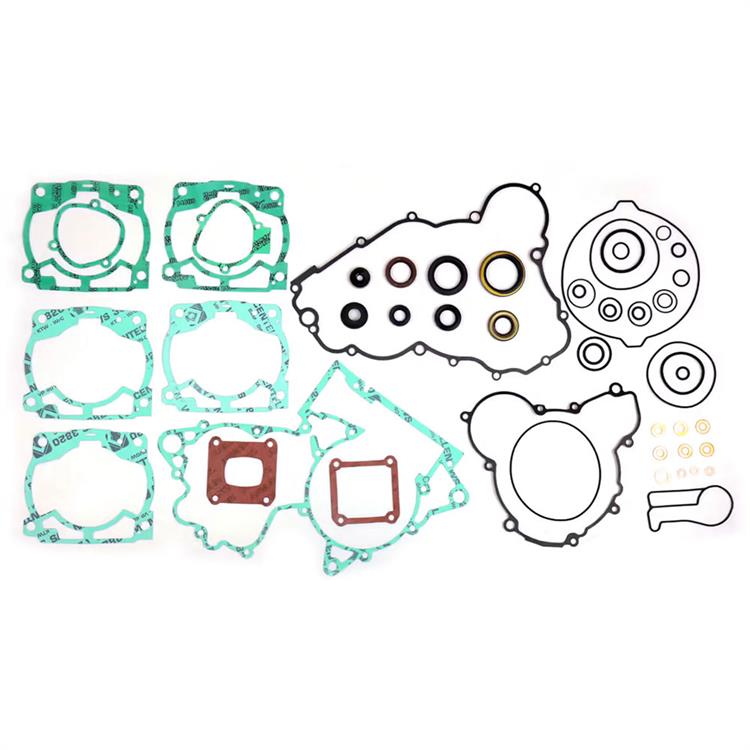 Guarnizioni KTM 300 EXC (2017-2019) motore + kit paraolio