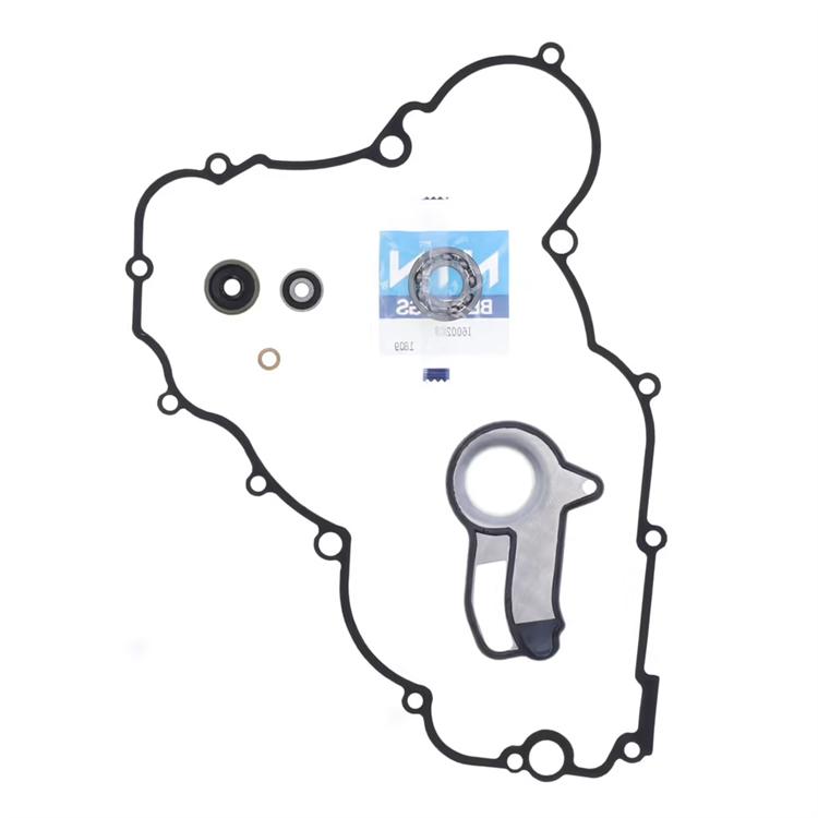 Guarnizioni pompa acqua Husqvarna 250 TC (2019)