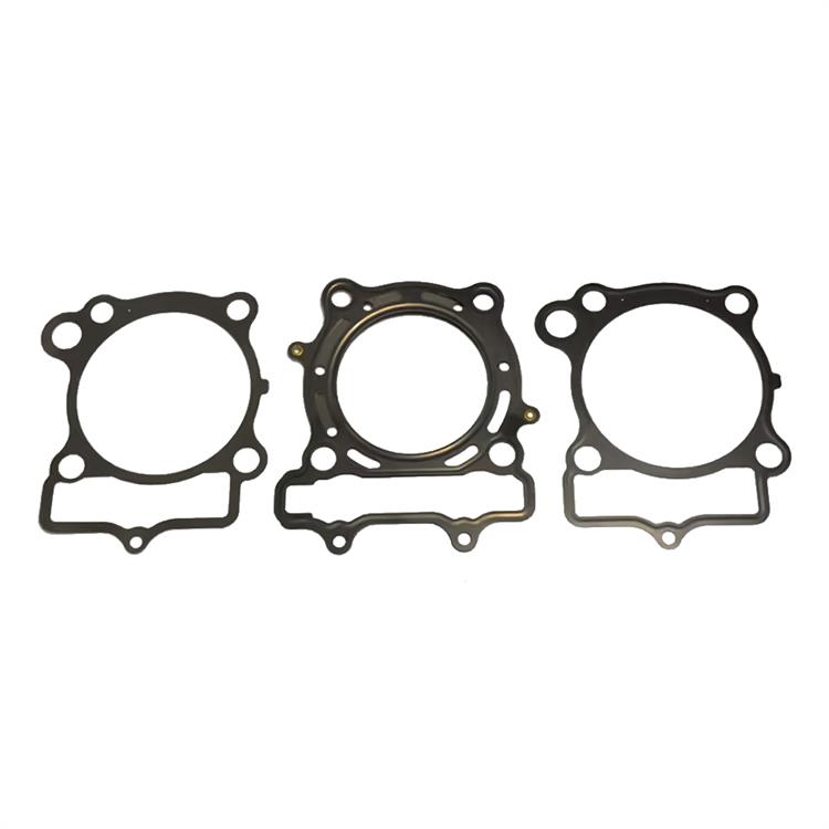 Guarnizioni Suzuki RMZ 250 (2007-2009) Race KIT