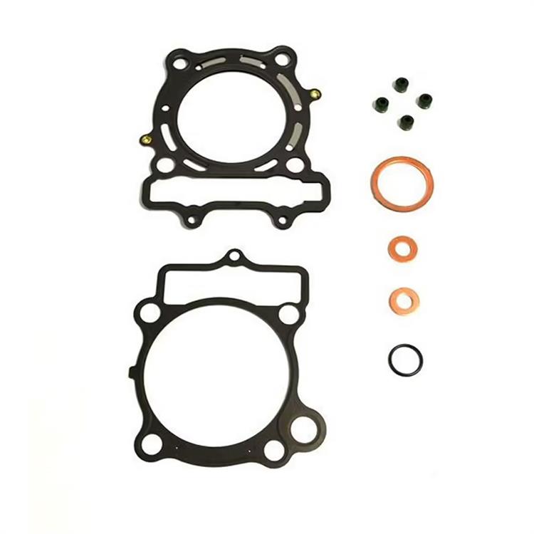 Guarnizioni Suzuki RMZ 250 (2007-2009) smeriglio *