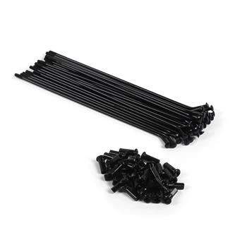 kit 32 raggi ruota 12 posteriore pit bike neri