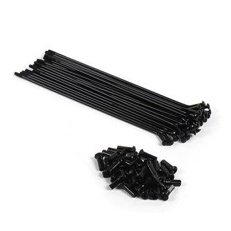 kit 32 raggi ruota 14 anteriori pit bike neri