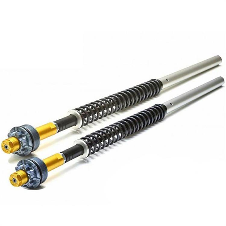 Kit cartuccia Andreani forcella regolabile per Ohvale GP0 (22-24)