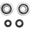 kit cuscinetti e paraoli albero Kawasaki KX 125 (2001-2025) Prox in Ricambi motore e filtri