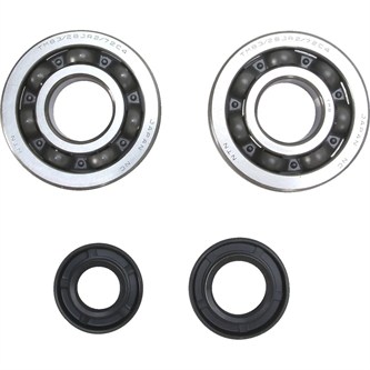 kit cuscinetti e paraoli albero kawasaki kx 125 2001 2025 prox