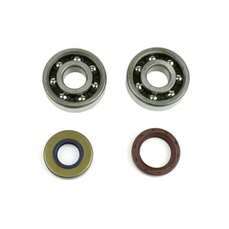 kit cuscinetti e paraolii albero skf am6 kit cuscinetti e paraolii albero skf am6