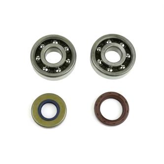 kit cuscinetti e paraolii albero skf am6