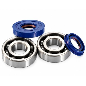 kit revisione albero motore yamaha polini for race