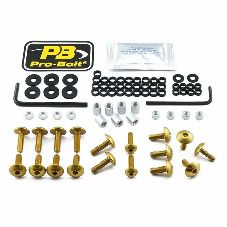 Kit viti carena Suzuki GSX 1300 R ABS Hayabusa Limited Edition (13) ergal Oro Pro Bolt
