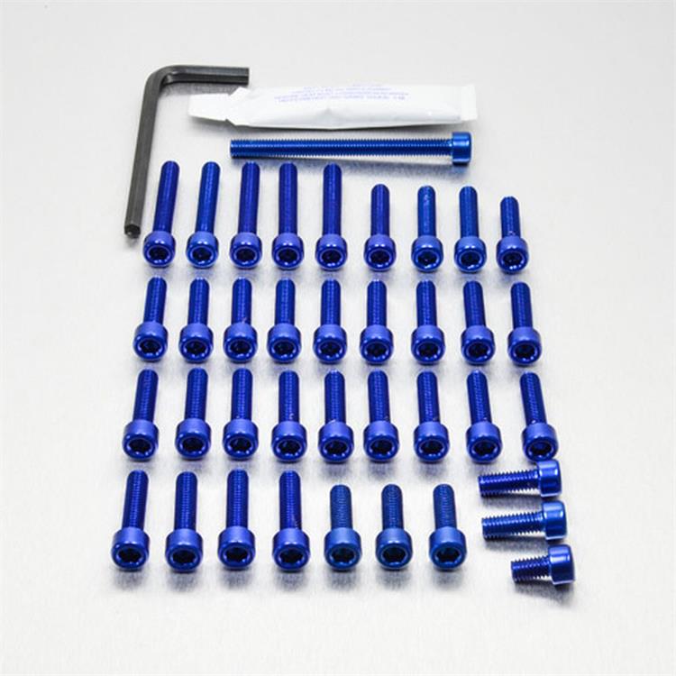 Kit viti motore Kawasaki Ninja 650 ABS (2017-2024) ergal Blu Pro Bolt