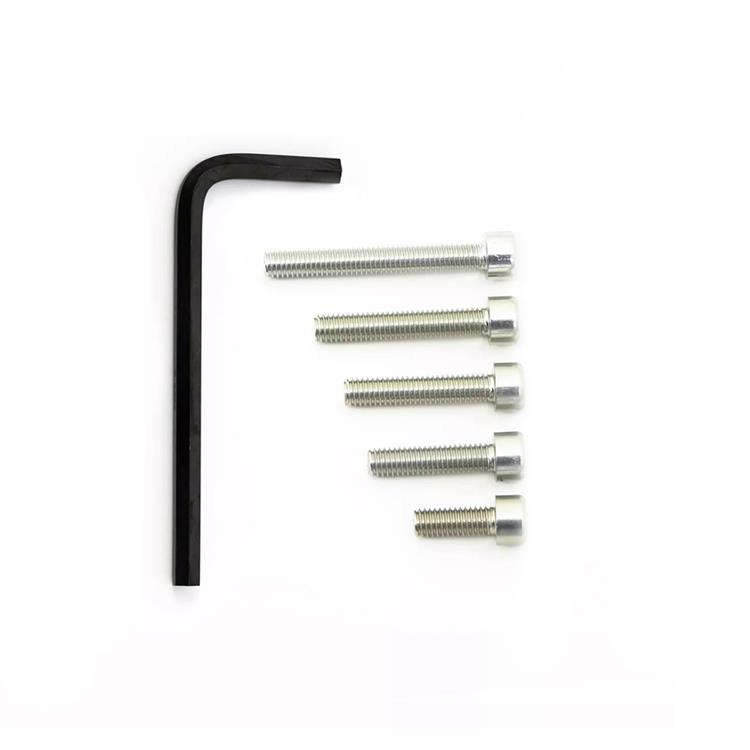 Kit viti motore Bmw S 1000 RR ABS (19-24) ergal Argento Pro Bolt