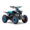 Miniquad elettrico 800 Watt Racer 6