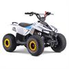 Miniquad Explorer 110 cc Blu [8-12 anni] in Miniquad