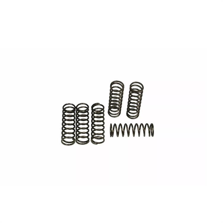 Molle frizione BMW F 800 GT ABS (13-19) EBC serie CSK