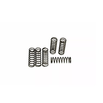 molle frizione bmw f 800 r 09 12 ebc serie csk