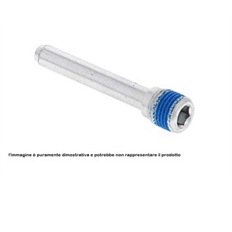 perno pinza freno suzuki rm 250 99 12 posteriore