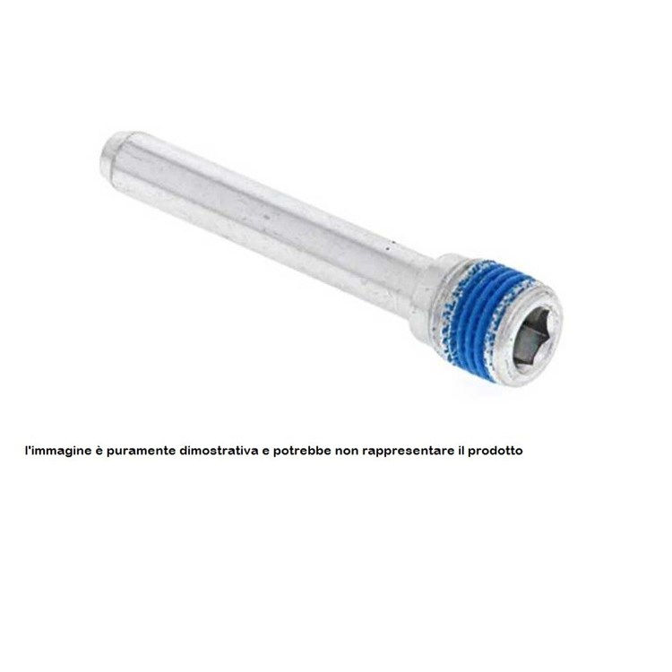 Perno pinza freno Suzuki RM 250 (1999-2012) posteriore