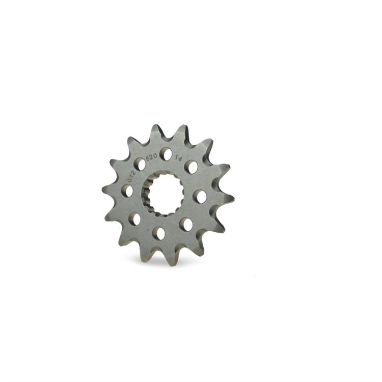 Pignone Moto Master Fantic 125 XE (2021-2025) 15 denti scaricato