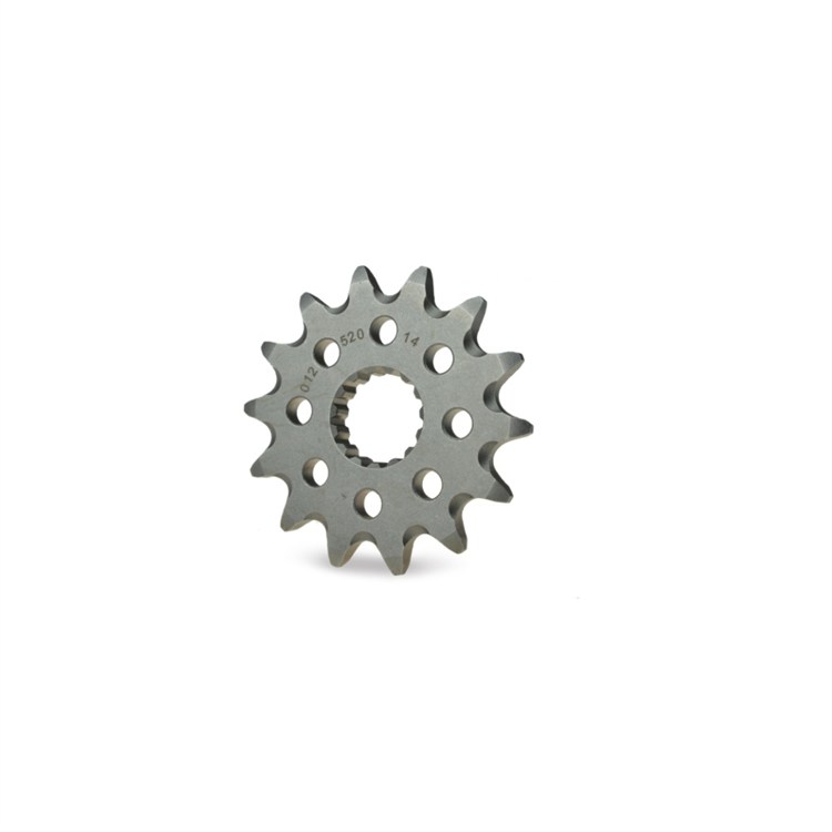 Pignone Moto Master Rieju 300 MR (2021-2026) 13 denti scaricato