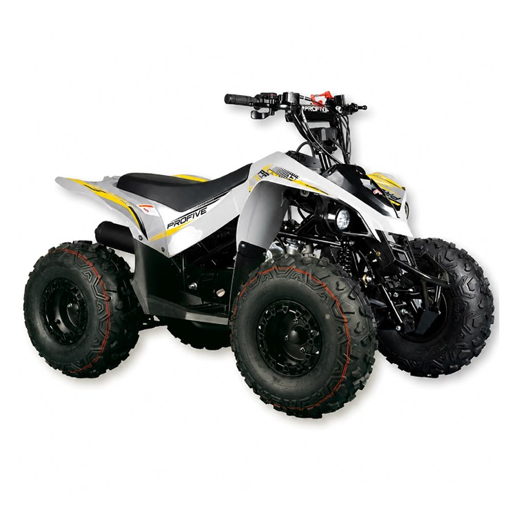 Quad 125 cc Trailmax 3 marce + R 8