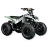 Quad 125 cc Trailmax 3 marce + R 8