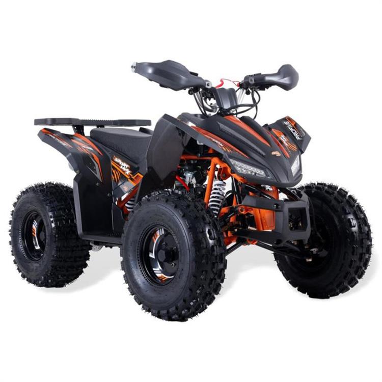 Quad Sportmax 150 Nero