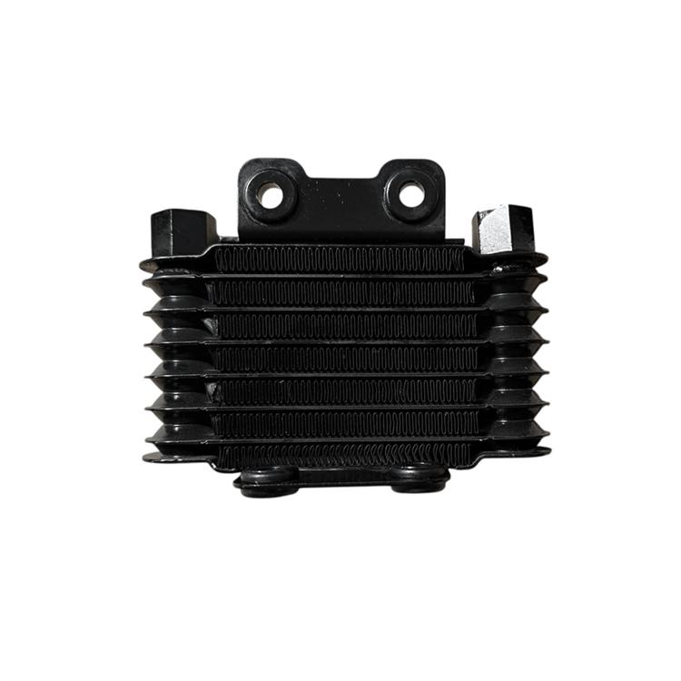 Radiatore olio originale Ohvale GP0 EVO (2022-2025) 