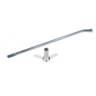 raggio ruota 10 anteriore pit bike