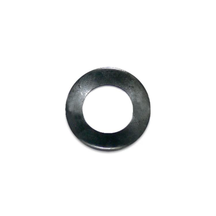Rondella rotore luci Tm 125 EN (2000-2019)