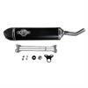 Scalvini TM SMR 125 FI (22) - Silenziatore Nero carbonio in Impianto scarico Motard