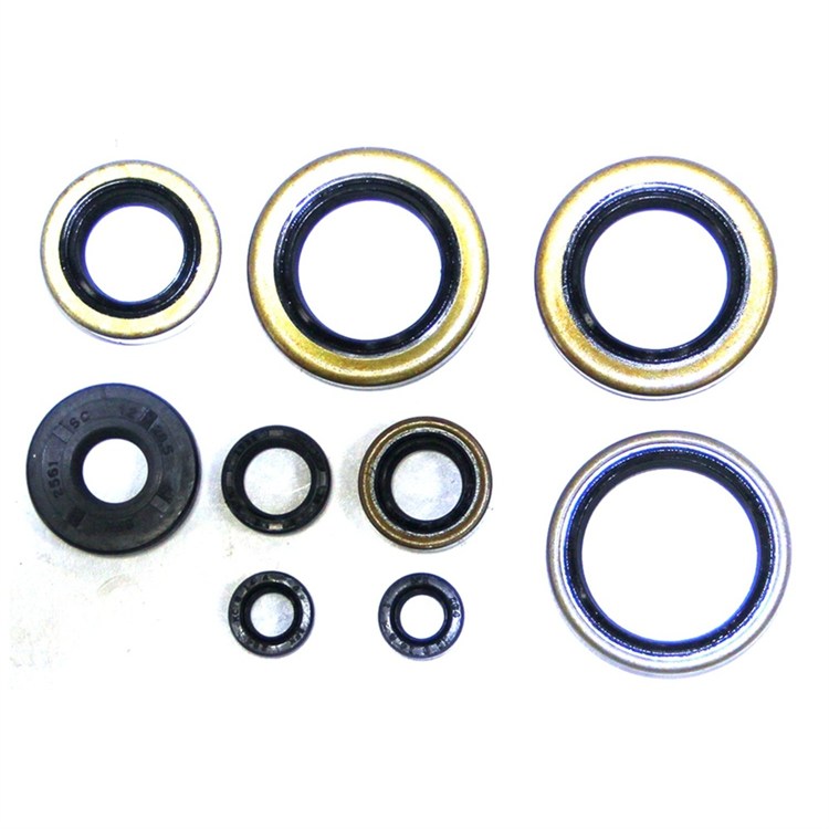 Serie paraolio motore NRTeam Fantic 250 XX (2022-2023)