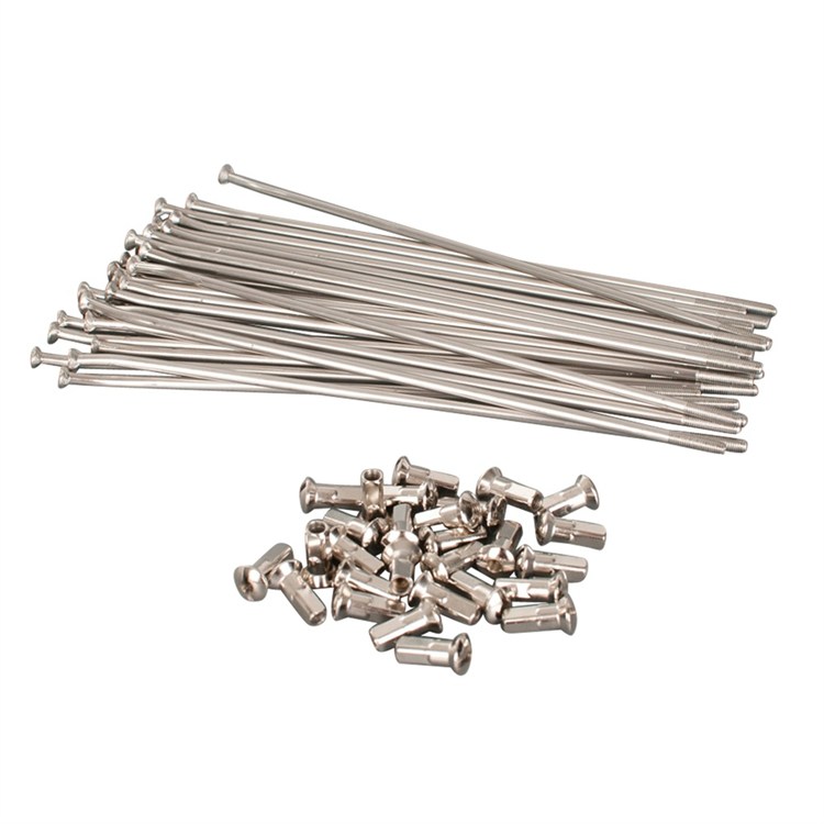 Set raggi ruota Rieju 250 MR (2021-2025) posteriore 18 pollici