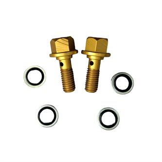 set viti olio 8 mm oro